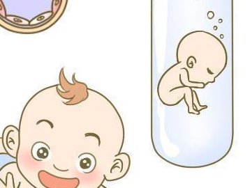 双角子宫女性进行试管婴儿的成功率大概有多高呢？全面解析与了解