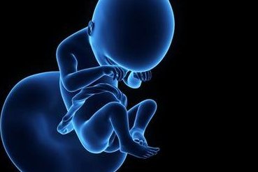 2026年国内无结婚证如何做试管？上饶可以做吗？