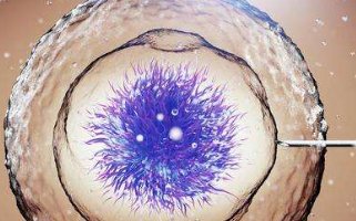 三代试管婴儿技术能不能避免白化病遗传？